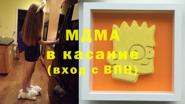 индика Надым