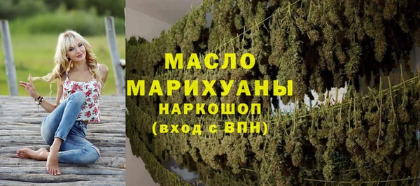 индика Михайлов