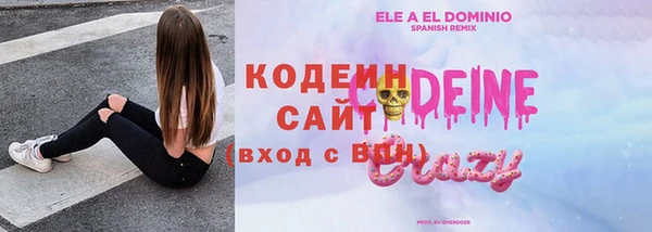 индика Надым