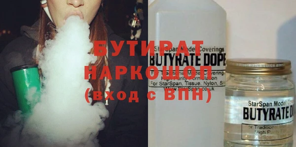 индика Надым