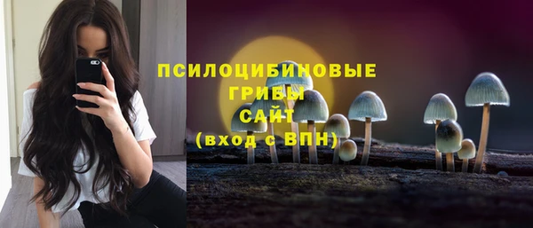 индика Михайлов