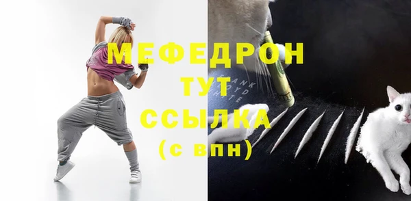 индика Надым