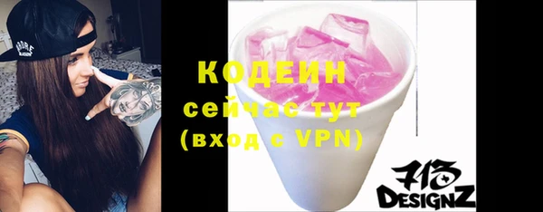 индика Михайлов