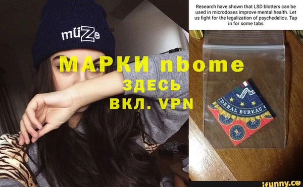 индика Михайлов