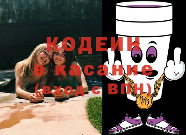 индика Надым
