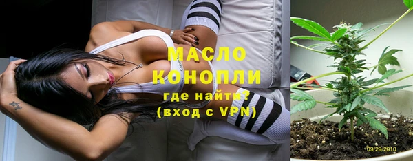 индика Михайлов