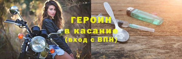 индика Михайлов