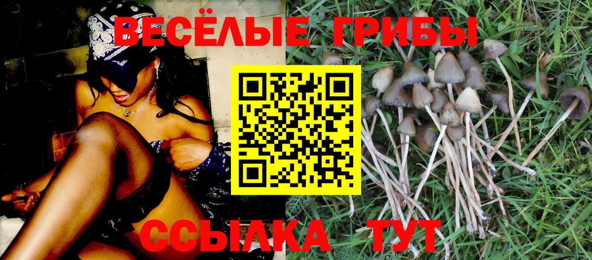Галлюциногенные грибы MAGIC MUSHROOMS Тверь