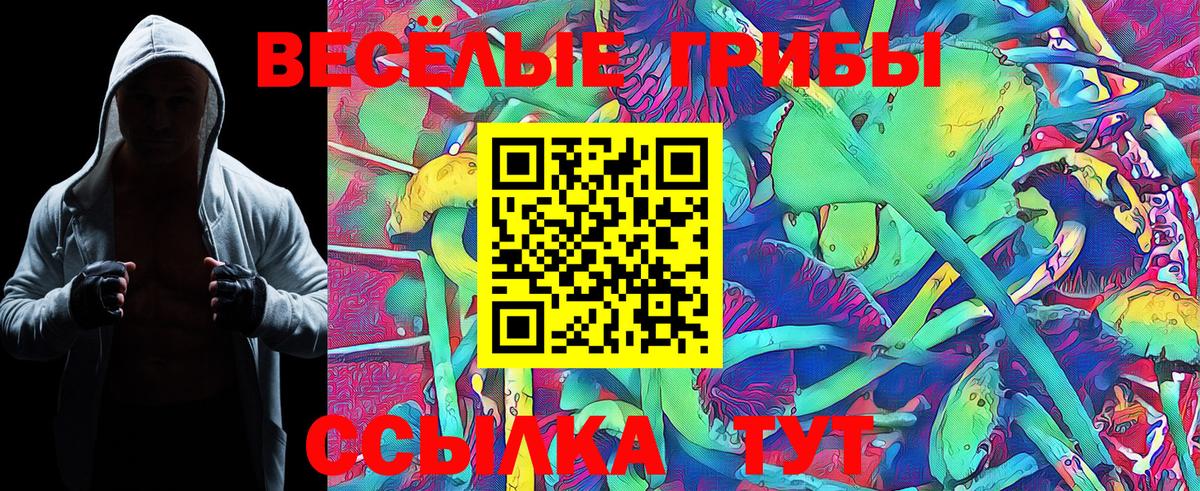 Псилоцибиновые грибы GOLDEN TEACHER Тверь